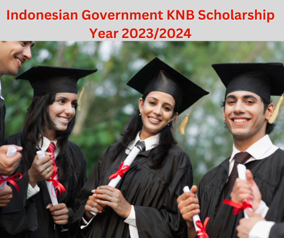 KNB Scholarship 2023